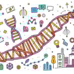 El ADN de un Fondo Exitoso: Analizando sus Componentes Clave