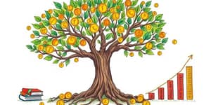 Crecimiento Constante: La Ventaja de los Fondos de Acumulación